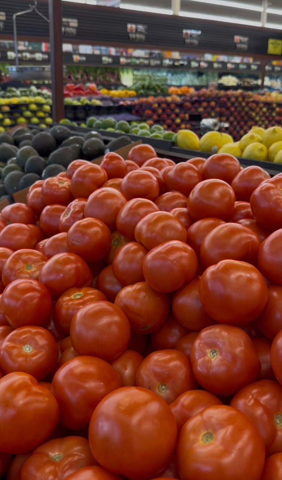 Red tomatoes with avocados and citrus behind them at Carnival Supermarket in Chula Vista.