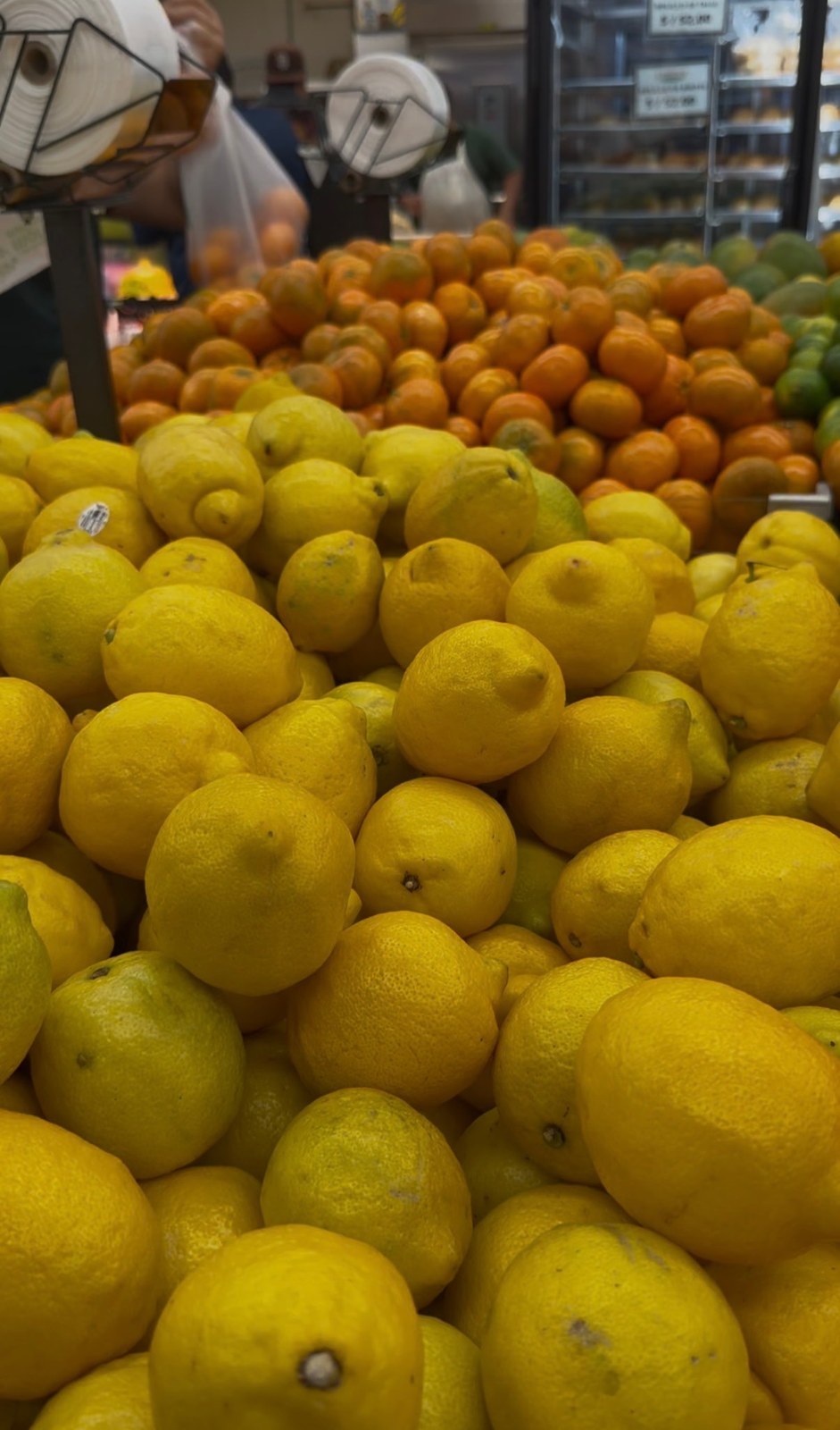 Lemons in the foreground with oranges behind them in the Carnival National City produce section.