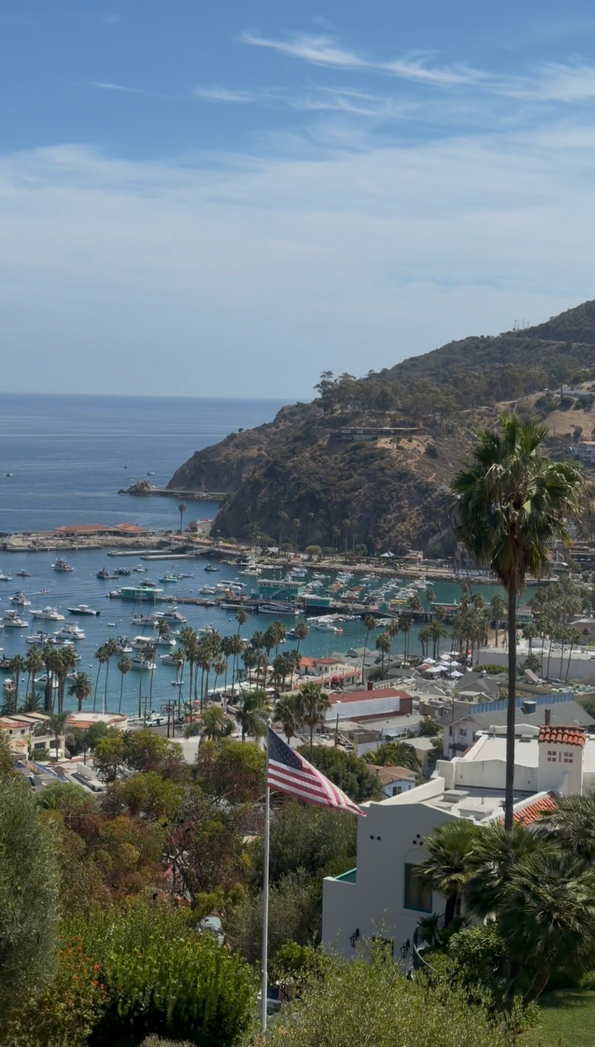 Avalon Harbor seen above tiled rooftops and palm trees, with boats in the blue water.