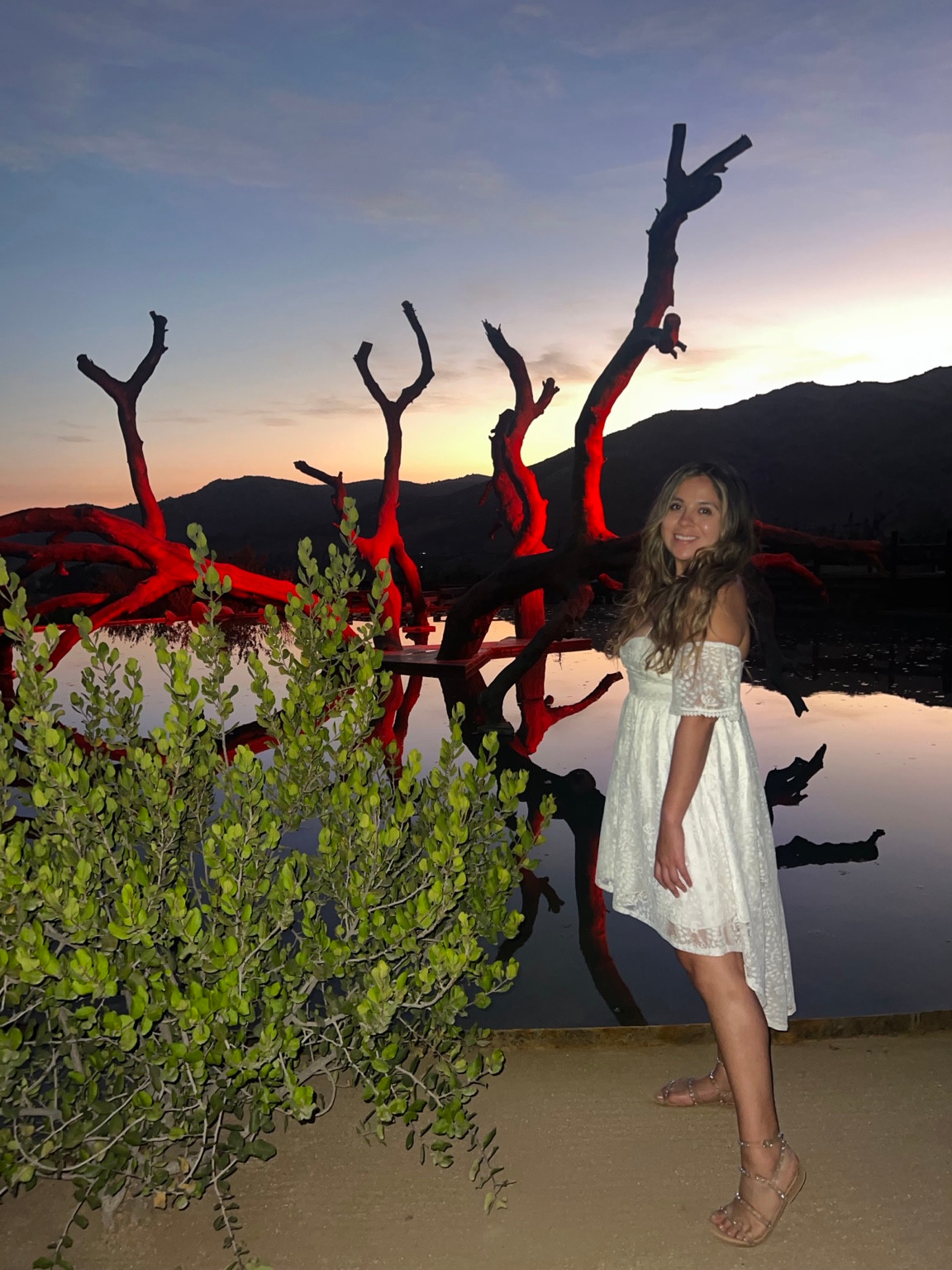A woman in a white dress beside a reflecting pool and red-lit branches at sunset.