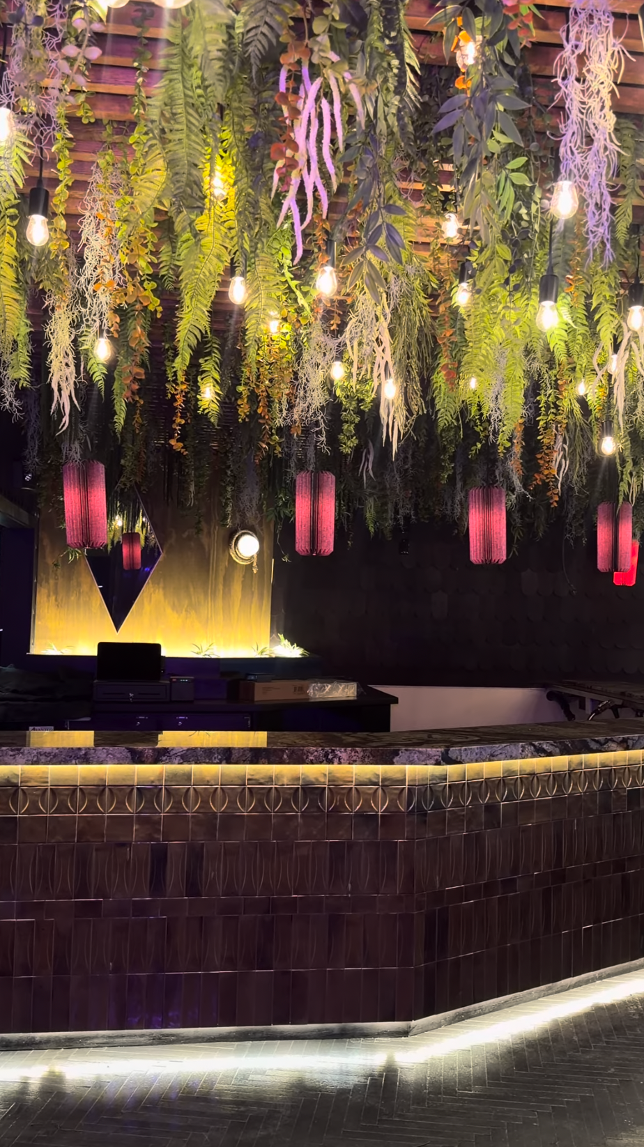 The Quin's curved bar beneath hanging greenery, glowing bulbs and pink pendant lights.