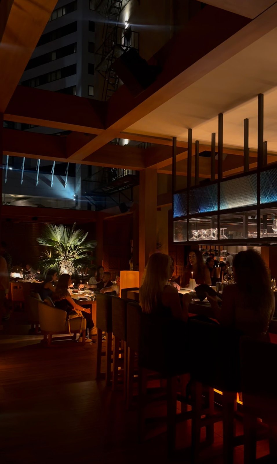 Warmly lit terrace and bar seating at Zuma San Diego, with a palm beneath the open sky.